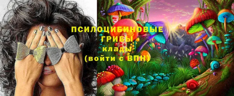 Галлюциногенные грибы мицелий  Кузнецк 